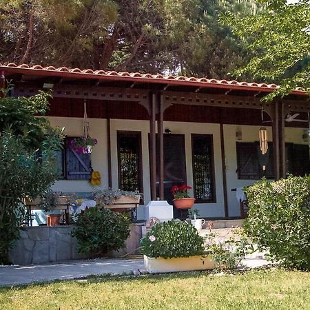 فيلا Estate Irene أليكسانثيربوليس المظهر الخارجي الصورة