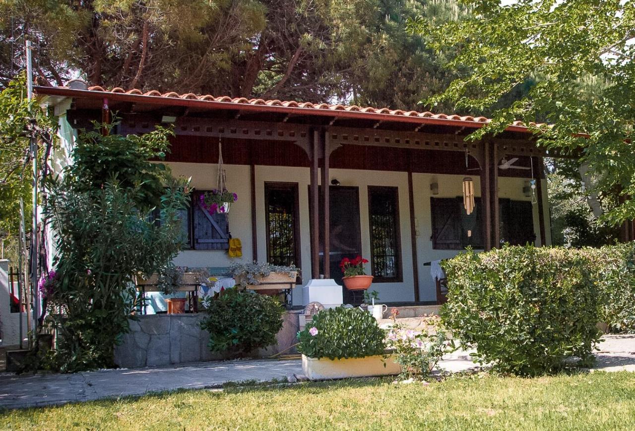 فيلا Estate Irene أليكسانثيربوليس المظهر الخارجي الصورة