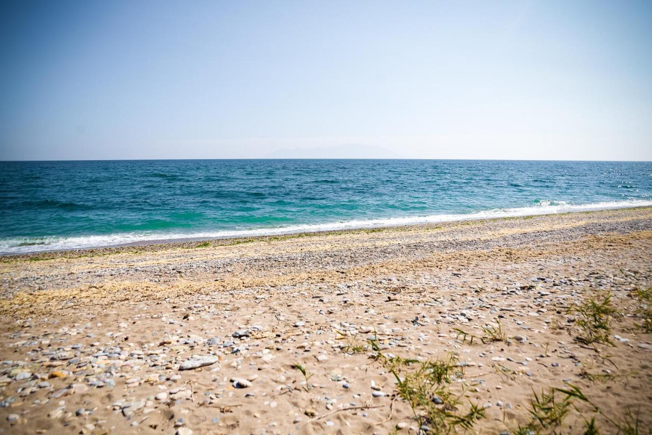 فيلا Estate Irene أليكسانثيربوليس المظهر الخارجي الصورة